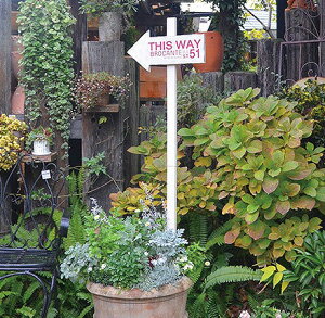 A[XeBbN L AeB[N azi-azi AWAW K[fsbN EFJv[g CeA  킢 K[fG݁y|Cg10{z