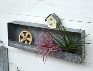 AeB[N eBEH[VFt 1i azi-azi AWAW EH[VFt I 1iy|Cg10{z