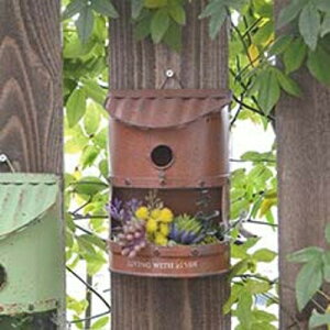 eBo[hnEXv^[B uE AZ-1361 AeB[N azi-azi AWAW K[f K[fjO G EH[nMO ݂艺 ͂񂬂 Aؔ@v^[Jo[y|Cg1