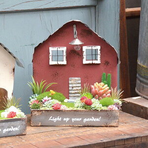 vnEXv^[/B AeB[N azi-azi AWAW Ǌ|v^[ K[f G nMO |bg K[fjOG݁y|Cg10{z