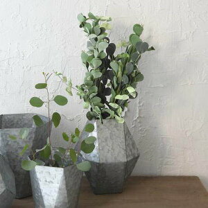 WI}gbN^|bg B Jo[ K[f|bg Vo[ CA-1072 Jo[ uL|bg  uL Aؔ uL v^[ K[fjOG AeB[N Jo[  