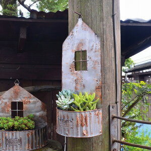 eBnEXv^[/B AeB[N azi-azi AWAW K[f K[fjO G EH[nMO ݂艺 ͂񂬂 Aؔ@v^[Jo[ AZ-5004