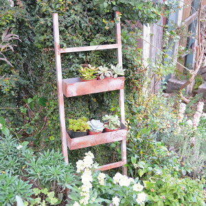 プランター はしごメタルプランター 梯子 アンティーク風 azi-azi アジアジ 植木鉢 ガーデン 雑貨 ガーデニング雑貨 ガーデニング 鉢 プランター フラワー 多肉 寄せ植え 【送料無料 ポイント1