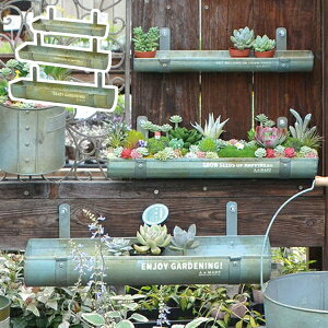 uLv^[ 3TCYZbg AeB[N azi-azi AWAW Ǌ|v^[ K[f G nMO |bg K[fjOG