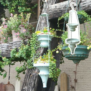 nMO_u^v^[ A nMO v^[ N azi-azi AWAW AeB[N g i t[|bg K[f|bg   A  |bg K[fjO O[ A 