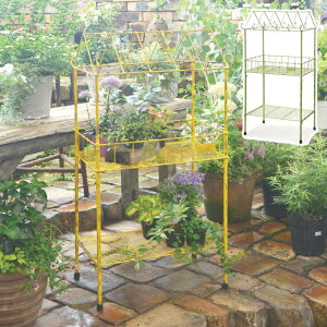 2Xebvt[ X^h CG[ O[ AeB[N VFt azi-azi AWAW K[fjO x_ VFt I [ Shelf Lb`bN fBXvC