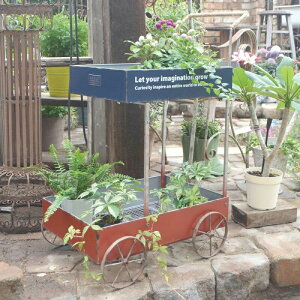 XebvJ[g AeB[N azi-azi AWAW v^[  GNXeA K[fjO  K[fjO /  / v^[ / t[ / A / 񂹐A y |Cg10{z