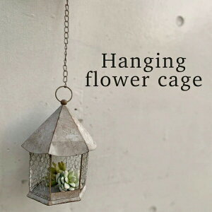 nMOEt[P[W AeB[N K[f K[fjO G EH[nMO ݂艺 ͂񂬂 [{bNX  oXPbg K[fjO G  MY-102-BR