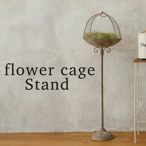 o[htB[_[EX^h AeB[N K[fG i`K[f o[htB[_[ 쒹̉a ̃GT  K[fpI[ig  fBXvC IuW