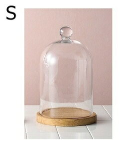 KXh[ S u u IuWF KXh[ IuWFȂǂŴɃIXXȃKXh[P[X / GLASS DOME WpKXh[ X܏Y fBXvC AeB[N V[