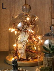 KXh[ L IuWFȂǂŴɃIXXȃKXh[P[X GLASS DOME WpKXh[ X܏Y fBXvC AeB[N V[P[X RNV{bNX y