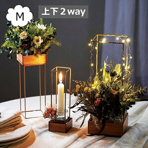 XNGAt[X^h M 2way AeB[N v^[X^h/t[X^h 1i AJVA X`[ fUC |bNkK[fjO | GNXeApil