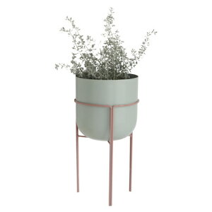 t[X^h AgXEX^h|bg RxgK[f CeAK[fjOp Jo[ t[ Aؔ |bg AeB[N v^[ oPc K[fjO X^