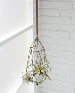 }[L[YEt[nO AeB[N yCOVENT GARDEN RxgK[fz IuWF u K[fjO K[f G nMO ݂艺 KW-04