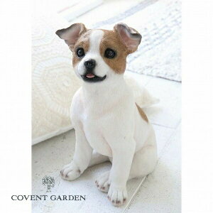 ps[EWbN {u AeB[N   Ck dog hbO hbN  RxgK[f COVENT GARDEN TS-20 K[f}XRbg K[fjO u IuWF I[ig 