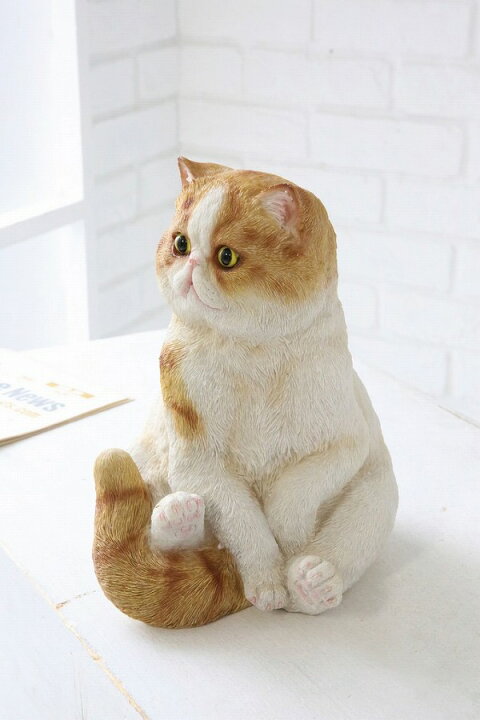 楽天市場 エキゾチックショートヘア アンティーク調 猫 ねこ ネコ Cat キャット Covent Garden コベントガーデン Ts 48 ガーデンマスコット ガーデニング 置き物 オブジェ オーナメント 動物 送料無料 ポイント10倍 インテリア雑貨 Grandewild 楽天市場 エキゾチックショートヘア アンティーク調 猫 ねこ ネコ Cat キャット Covent Garden コベントガーデン Ts 48 ガーデンマスコット ガーデニング 置き物 オブジェ オーナメント 動物 送料無料 ポイント10倍 インテリア雑貨 Grandewild