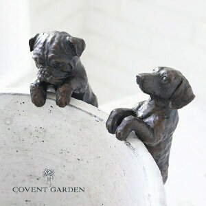 R[gv`ps[2_Zbg uhbO ~j`A_bNX AeB[N   Ck dog hbO hbN  RxgK[f COVENT GARDEN TW-05 K[f}XRbg K[fjO u 