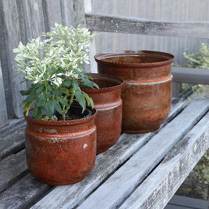 R[X^CEW[Jbv 3_Zbg |bgJo[ AeB[N RxgK[f COVENT GARDEN BD-04 X`[ K[fG i`K[f Jo[  Aؔ v^[ Jo[ K