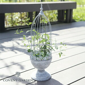 AWeEK[fP[W AeB[N RxgK[f COVENT GARDEN BL-02 v^[{bNX v^[ v^[X^h/t[X^h fUC |bN ACA kK[