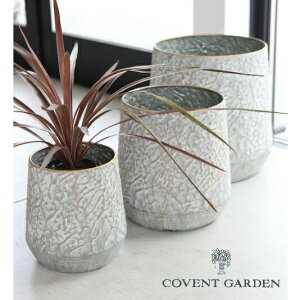 t[|bg [cEACA|bgJo[ 3_ZbgAeB[N RxgK[f COVENT GARDEN KW-71 t[|bg   ϗtA K[fG i`K[f y |