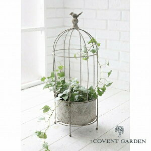 XeBEC[vcP[W AeB[N |bgJo[ RxgK[f COVENT GARDEN OE-41 CeAK[fjOp Jo[Aؔ |bg AeB[N v^[ o