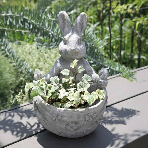 rbgNX|bg  ETM rbg rabbit AeB[N RxgK[f COVENT GARDEN t[|bg   ϗtA K[fG i`K[f  PR-04