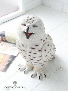 qAXEIE AeB[N ӂ낤 tNE  sJ owl RxgK[f COVENT GARDEN K[f}XRbg K[fjO u IuWF I[ig  TS-05 y |