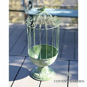 V[EvcP[W O[ RxgK[f COVENT GARDEN XB-06 AeB[N v^[X^h/t[X^h 1i X`[ fUC |bNkK[fjO | G