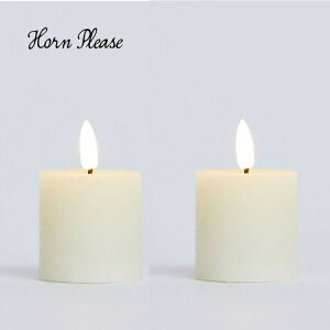 LEDCg Lh {[eBu 2p Zbg LED Lh E\N 낤 u Horn Please 107957LEDLh LEDCg LEDƖ Cg Ɩ v AEghA hЗpi hЃObY@NX