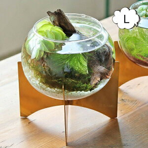 ԕr t[x[X Cu[ KX{Ex[X L KX NG Creer 92250002 t[x[X///t[/t[OX/ԕr KX/KXx[X/Vv/ u/k/