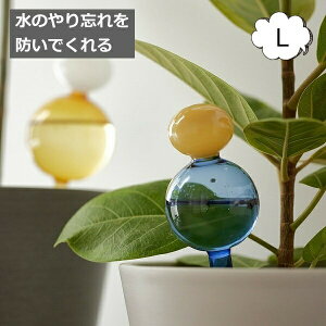 ̂Yhł KX̃fBXyT[ LTCY KXx[X KX NA KX AeB[N {gx[X t[x[X///t[/t[OX/x[X/V