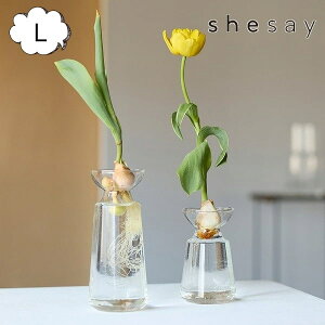 [YKX O[XC ou{g Gt L shesay u̔ 372287 t[x[X X^h ԕr  t[x[X///t[/t[OX/ԕr KX/KXx[X/V