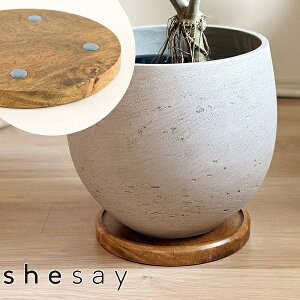 vg[o[ shesay u 423787  ԑ  t[X^h FS [o[ Eh 30cm