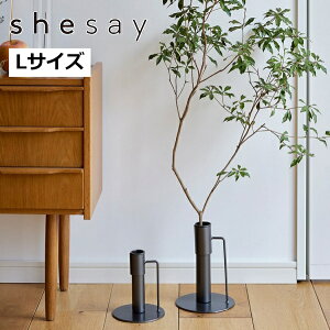 傫Ȏ}̂ďACAX^h LTCY u 423791 t[X^h ACA ԑ 1i    x_ X u |bN K[fjObN v