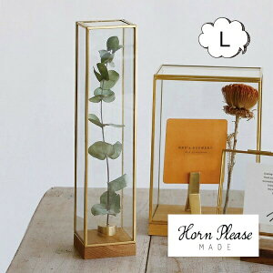 uXt[ KXP[X fBXvC{bNX g[ LTCY Horn Please u̔ AeB[N S[h 107783 IuWFȂǂŴɃIXXȃKXP[X WpKX 