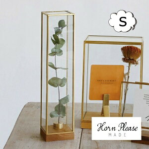 uXt[ KXP[X fBXvC{bNX g[ STCY Horn Please u̔ AeB[N S[h 107784 IuWFȂǂŴɃIXXȃKXP[X WpKX 