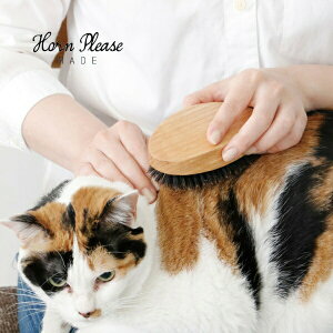 L uV LbguV (LuV) ybguV I[NEbh bуuV BOAR Horn Please u 107862 L Lbg p 킢 xbh ybgp  