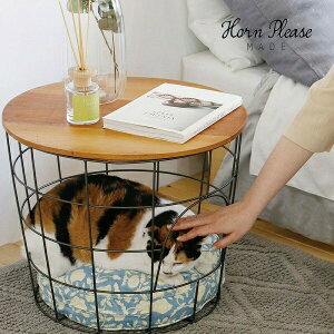 TChe[u EbhACA oXPbg e[u Horn Please u 423622 TChe[u TChS e[u \t@ xbh TCh iCge[u \t@[e[u _ k TC