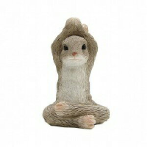 YOGAAj} K  L ˂ lR cat Lbg Ԃ Ђ  X   ͂˂  AeB[N IuWF u Aj}