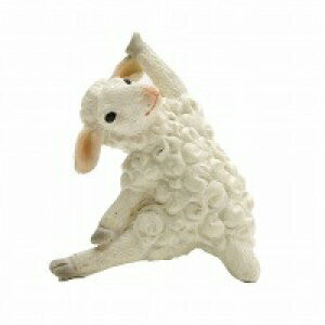 YOGAAj} K  L ˂ lR cat Lbg Ԃ Ђ  X   ͂˂  AeB[N IuWF u Aj}