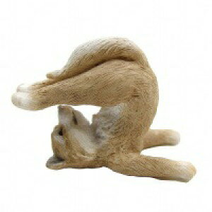 YOGAAj} K  L ˂ lR cat Lbg Ԃ Ђ  X   ͂˂  AeB[N IuWF u Aj}