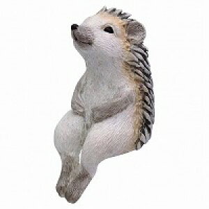 VbeBOAj}  L ˂ lR cat Lbg Ԃ Ђ  X   ͂˂  AeB[N IuWF u Aj}