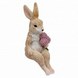 VbeBOAj}  L ˂ lR cat Lbg Ԃ Ђ  X   ͂˂  AeB[N IuWF u Aj}