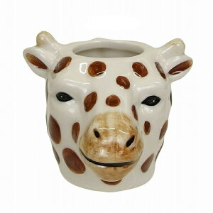 Aj}~j|bg |bg  n` ˂ fbN t`u xA[ `[^[ |[xA L ӂ낤 키   [ d  P[X ꕨ  