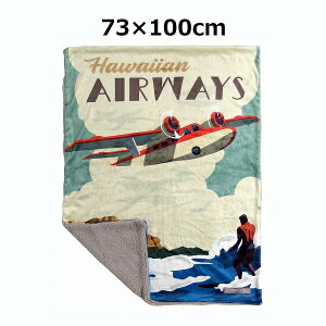 uPbg 73×cm  Ђ ѕz uPbg t@ubN Ђ|  k y Mtg |GXe Lv tluPbg {An POSTER AIRWAYS nC HAWAII