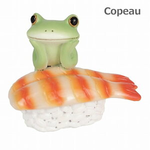 R|[ iƃJG Gr  CV i  K[f Copeau 622542 G K[f K[fjO u  IuWF  JG tbO frog