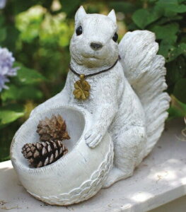 XNCY K[fI[ig X XNCY SQUIRRELS K[f}XRbg K[fjO u IuWF I[ig y|Cg10{z