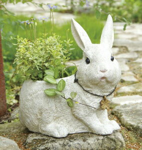 rbct@[v^[ L  ETM rbg rabbit  Aj} ꌊ v^[  Aؔ |bg K[fjOG AeB[N Jo[  킢  K[f