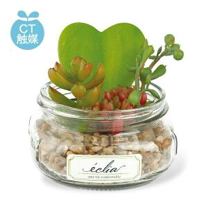 GNA LA[eBtBVO[ C~e[V TLg tFCNO[ ϗtA  G} CTG} lHϗtA tFCNO[ CeAO[y|Cg10{