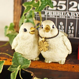 K[fI[ig o[h go[YK[fI[ig KH-61168  Ƃ Rg  Ƃ g o[h bird K[f}XRbg K[fjO u IuWF I[ig  